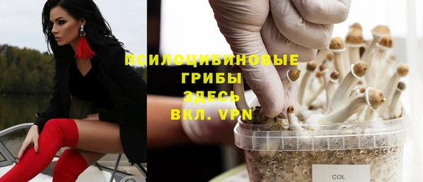 спиды Абдулино