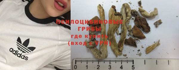 спиды Абдулино