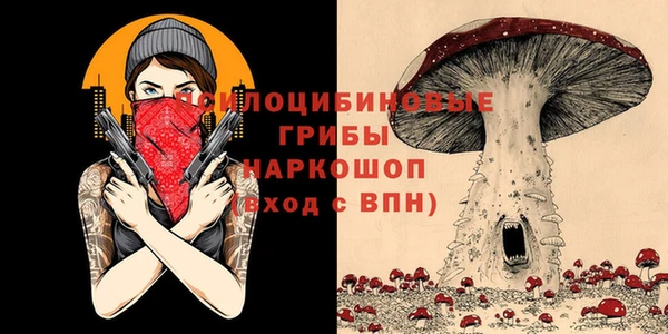 спиды Абдулино